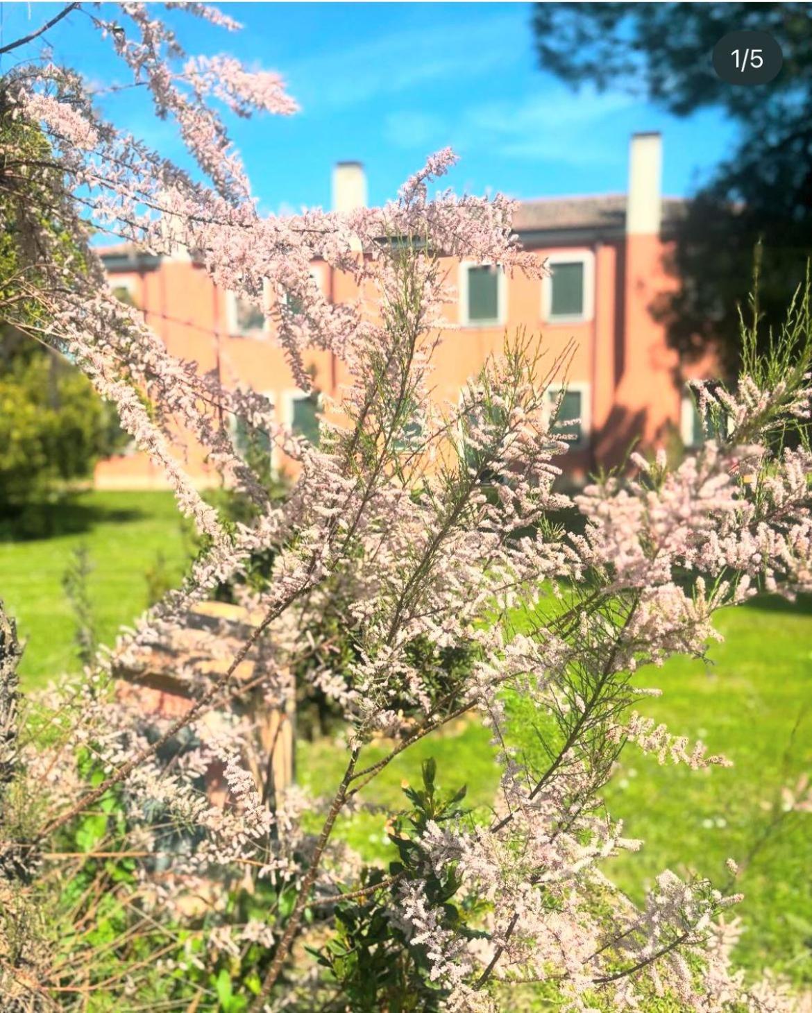 Agriturismo Ca' Bonelli 1924 Scardovari Bagian luar foto